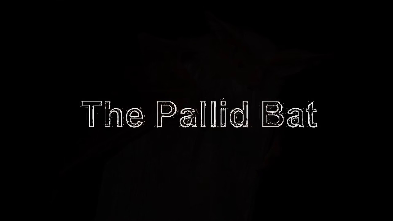 BatWeek.org Presents: The Pallid Bat