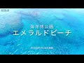 【美ら空さんぽ】海洋博公園エメラルドビーチ