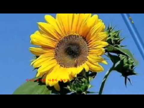 사나이 첫사랑  나훈아  성주하늘채