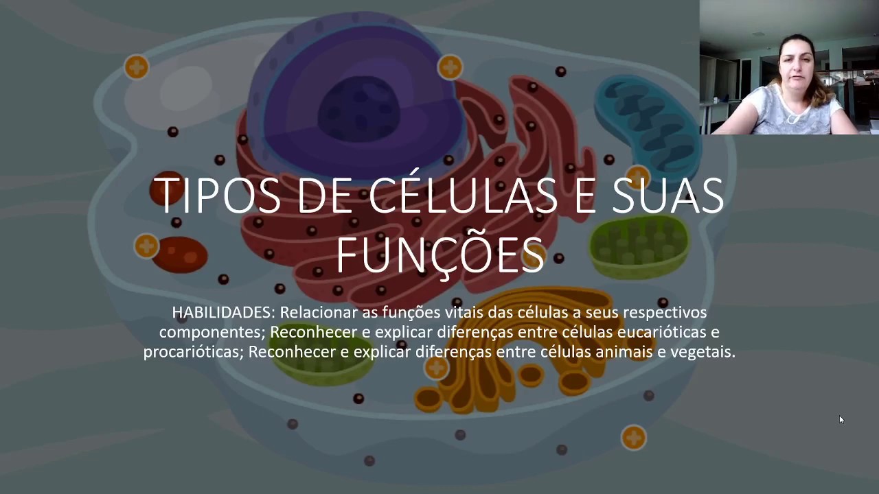Teoria Das Duas Celulas - NAZAEDU