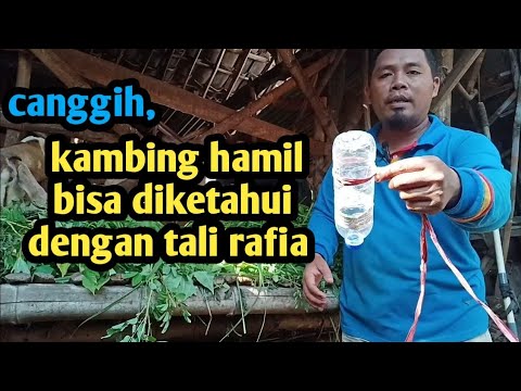 Video: Upah masa - apakah itu? Pelbagai upah masa