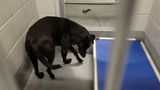 acs A668681