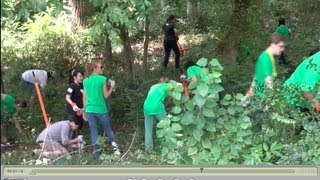 8-24 Brookhaven Park Clean Up