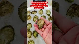 Tiny but expensive “Kumamoto Oysters” 🦪 #shorts #asmr #kumamoto #oysters #shellfish #viral #seafood