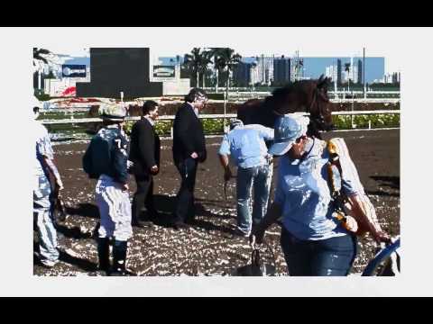 Florida Derby Weekend 2010