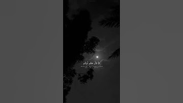 قرآن الكريم بصوت القارئ : إسلام صبحي || أجمل حالات واتس اب دينية || تلاوة خاشعة 🌿🤍