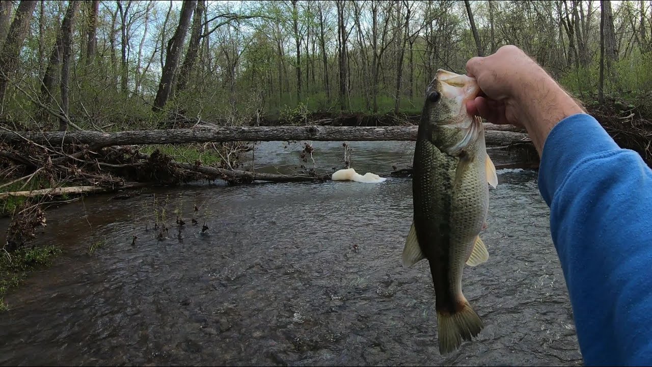 Wading the St Francis River for some bass