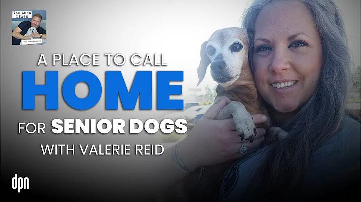 A Place to Call Home for Senior Dogs with Valerie ...