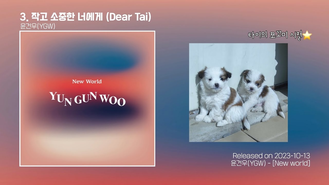 [Lyrics Video] 윤건우(YGW) - 작고 소중한 너에게(Dear Tai) / 가사