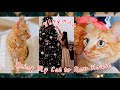 A day in my life| Bring My Cat to New Home|Thanksgiving Dinner|Costco Chocolate Lava Cake|Vlogmas 4
