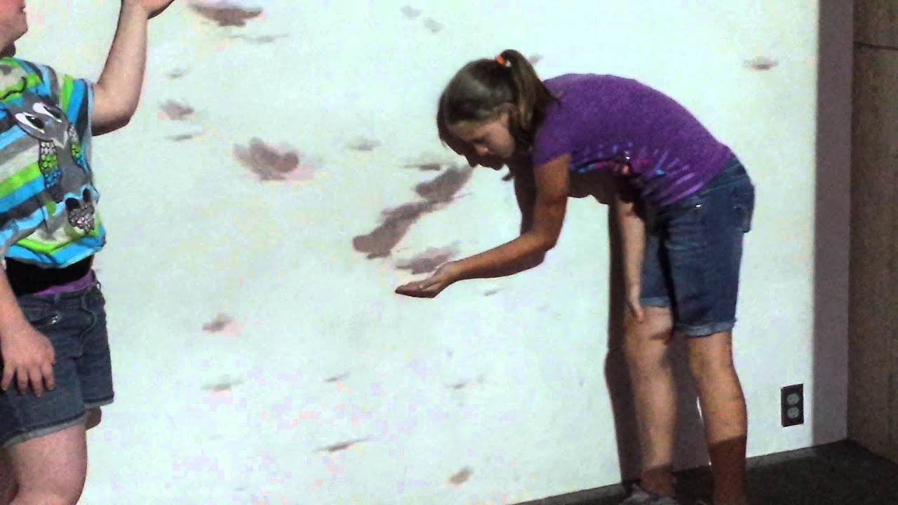 Houston butterfly arboretum YouTube