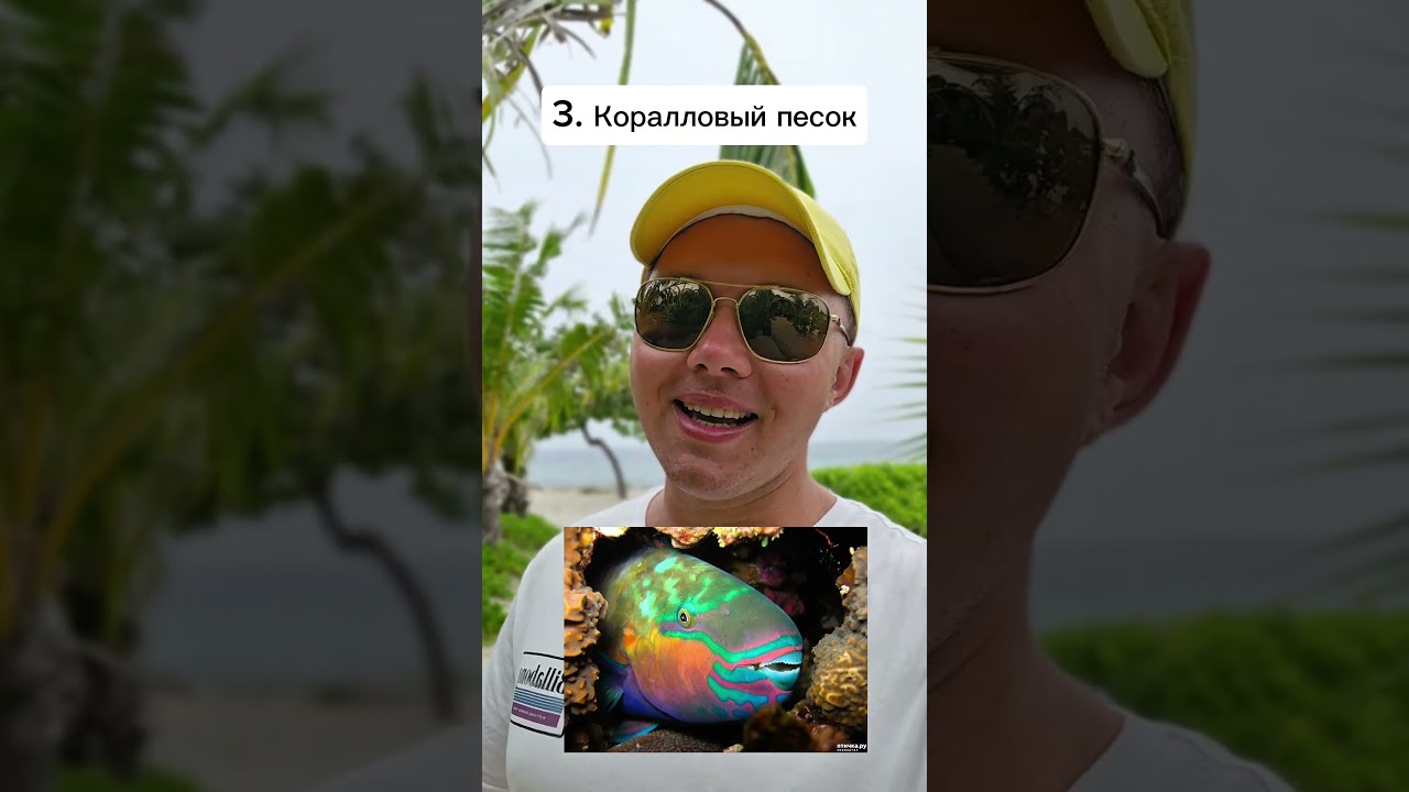 23 факта о Мальдивах. Часть 3 