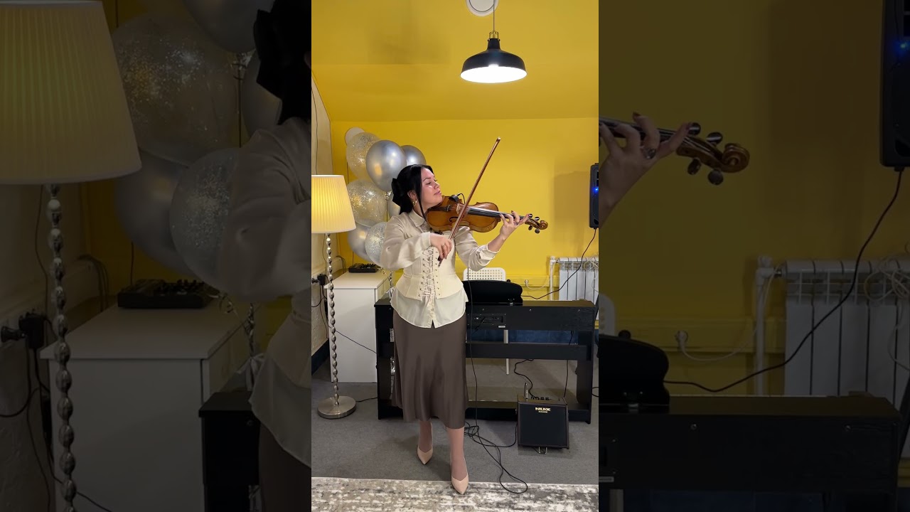 DESPACITO - LUIS FONSI | Violin cover 