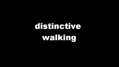 Lara Croft - Macarena dance and other animations