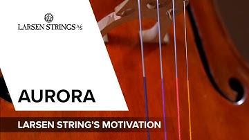 Learn more about Larsen Strings Aurora #2: Larsen Strings