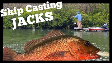 SKIP CASTING with a BAITCASTER | Best plastics and HOW TO RIG TIPS