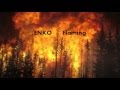 Enko - Flaming [Violent Cases 03]