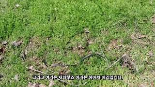 퇴비 살포
