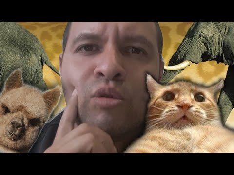 Обзор фильма ЖИВОТНОЕ \ ЖИВОТНОЕ ФИЛЬМ \ РОБ ШНАЙДЕР\ ЖИВОТНОЕ ОБЗОР \ animal 2021 \ КОМЕДИЯ СУПЕР