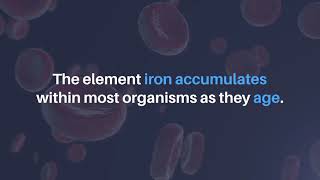 Aging-Us Iron May Influence Aging