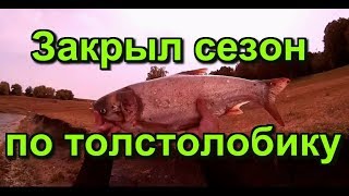 Закрыл сезон по ловле толстолобика! 01.09.2018