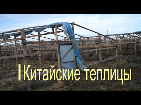 Китайская теплица своими руками