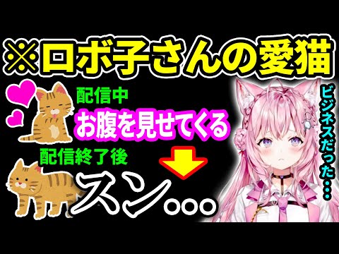 ロボ子さん家の猫ちゃんが「ビジネスキャット」だったという話をするこより【博衣こより/ロボ子さん/ホロライブ切り抜き】