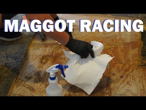 episode-9:-maggot-racing