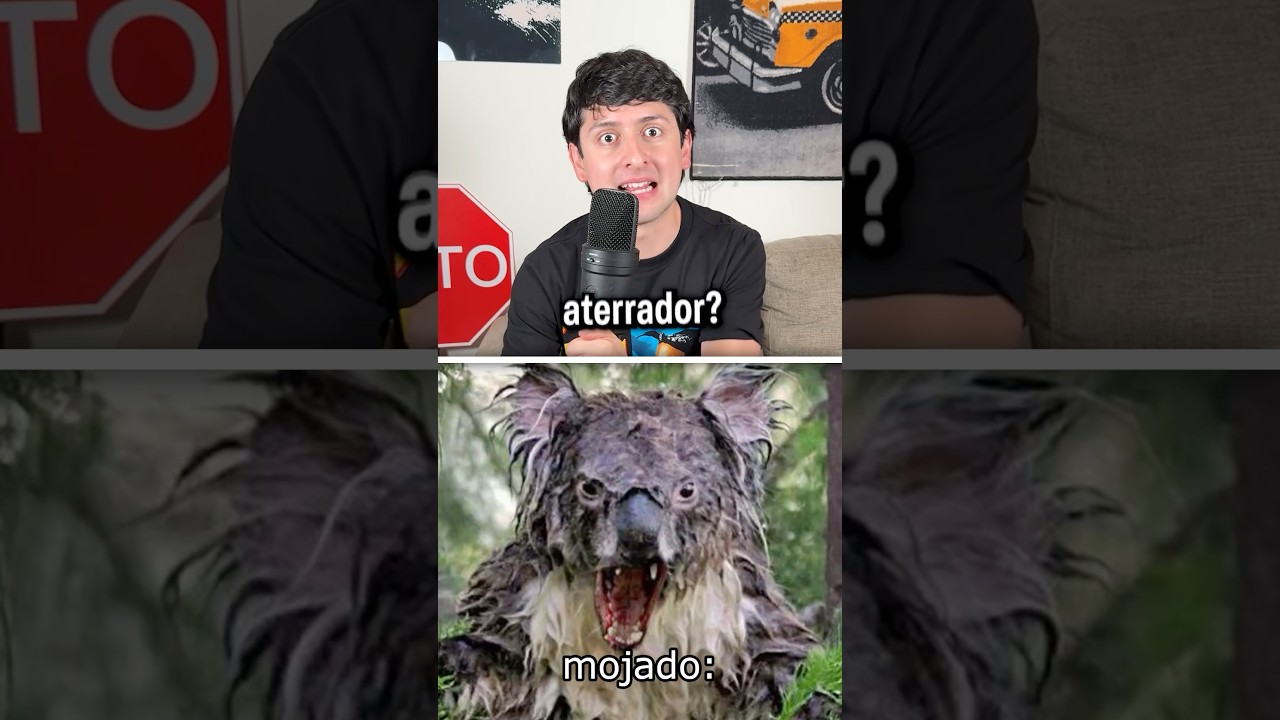 LOS ANIMALES MOJADOS DAN MUCHO MIEDO 😨