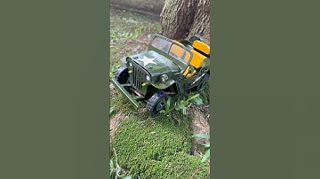Miniatura Jeep Willys #jeepwillys #miniaturas #carrinhodecontroleremoto