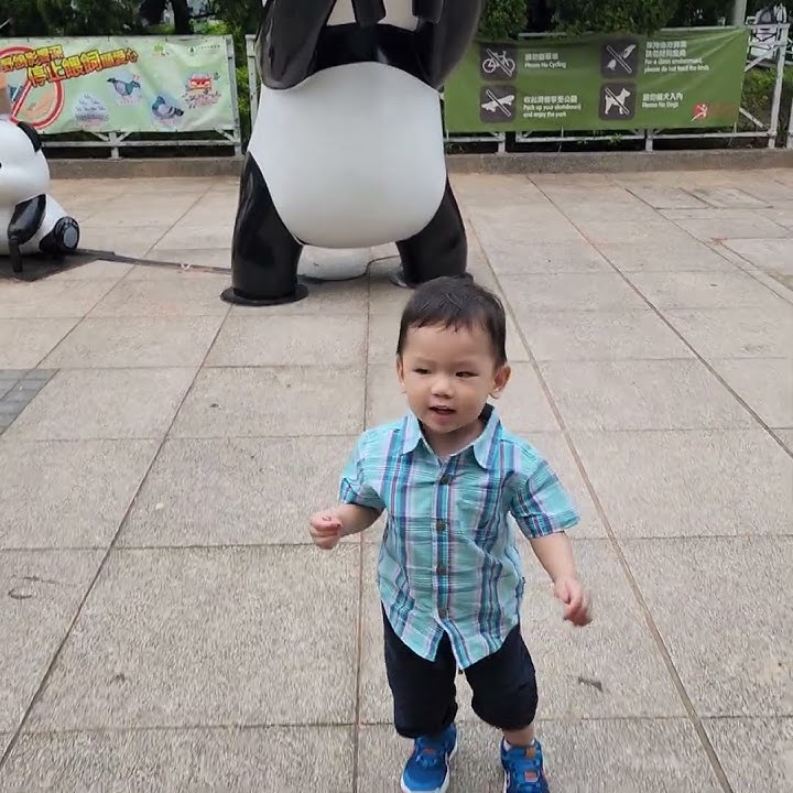 panda hk oct 10, 2024