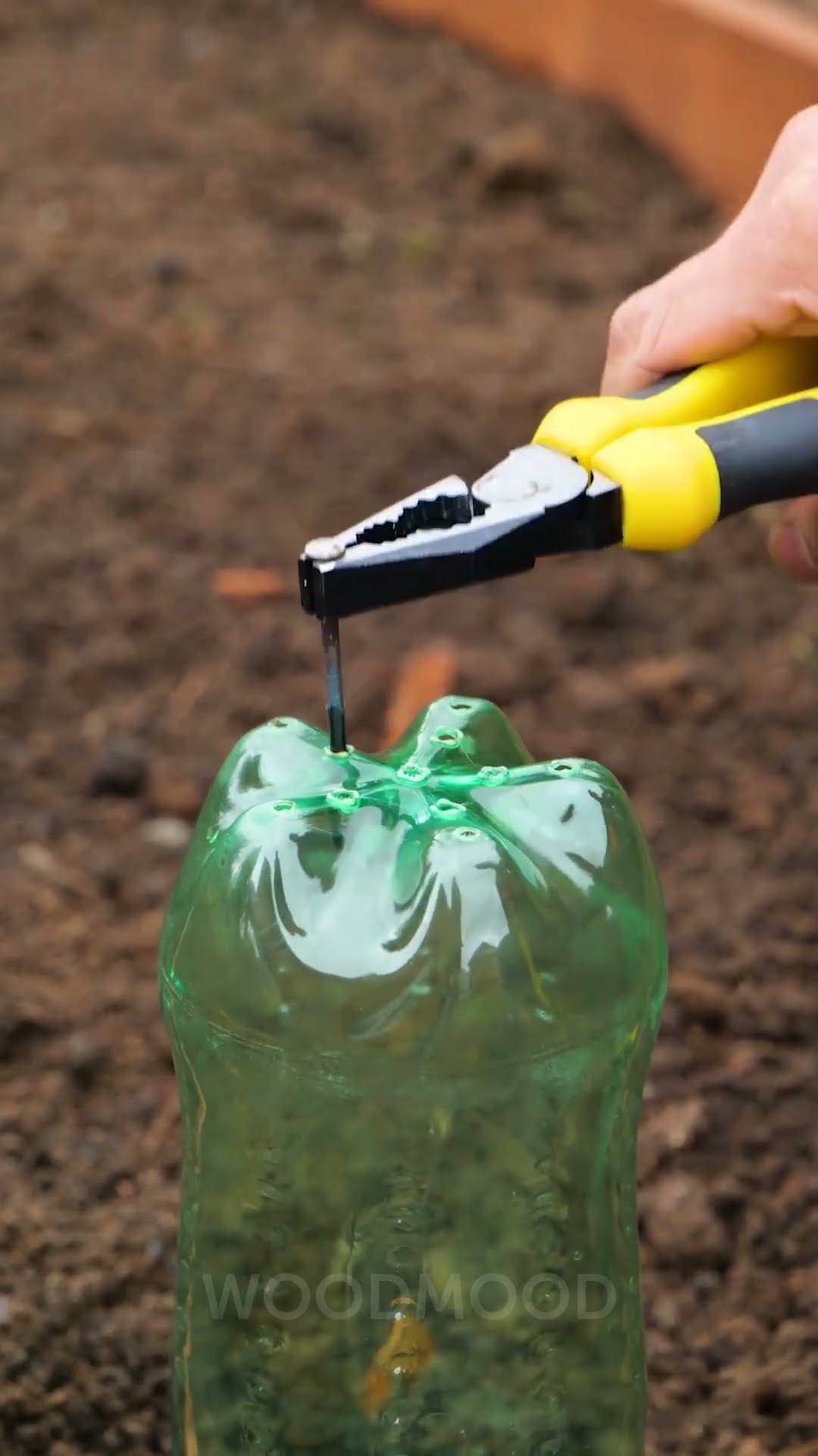 Love your backyard? Try these simple garden hacks in 2025 then! ?