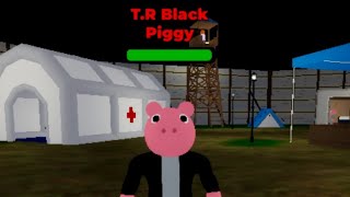 How we recruited T.R Black Pig #piggyintercity 