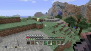 Minecraft Gameplay With Relaxing Frequency
