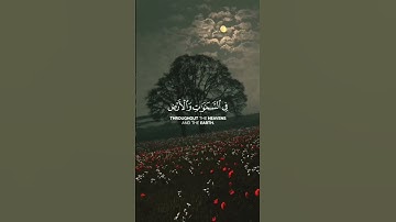 فسبحان الله حين تمسون وحين تصبحون عبدالله الخلف سورة الروم #قرآن #قران_كريم #viral #foryou