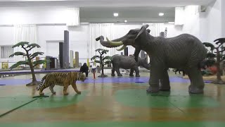 Tiger vs Elephant 호랑이 vs 코끼리