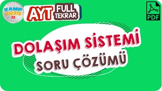 Dolaşım Sistemi Soru Çözümü Ayt Full Tekrar Kampı 2020