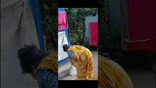 রাতে আমাদের এখানে বৃষ্টি হয়েছে.... #original content#highlight followers#viral video#village life