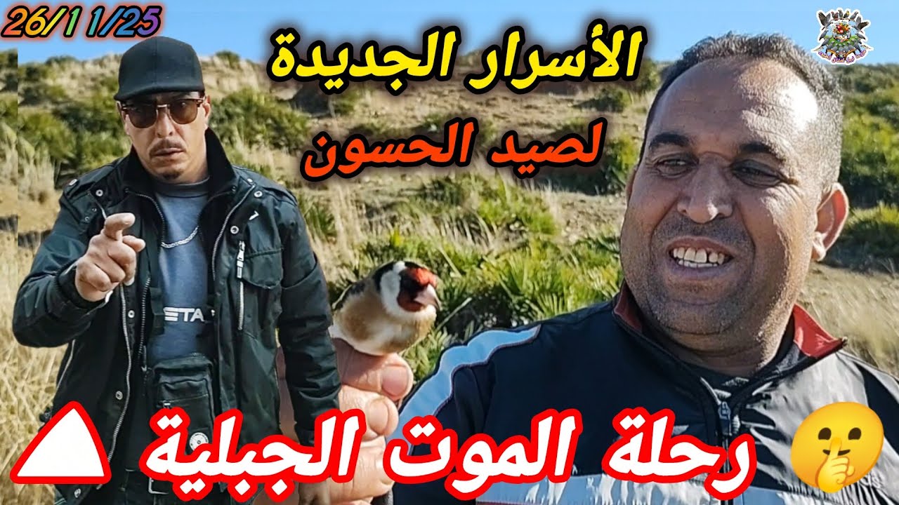 أخطر رحلة صيد جبلية ⚠️ أنا وصديقي في مهمة صعبة صيد الحسون بتقنيات الجديدة لماذا أطلقنا سراح الأنثى❓