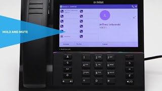 6940 Phone: Hold and Mute