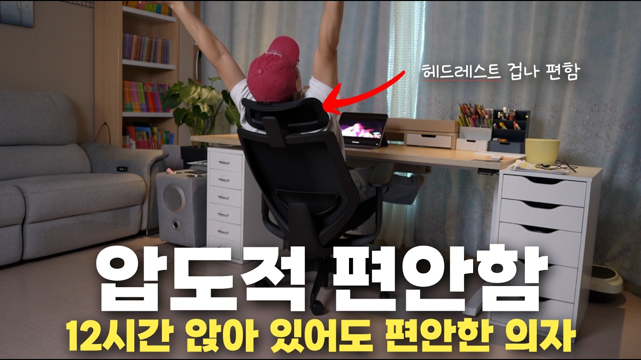 하루 12시간 앉아 있어도 편안한 의자 - 레니프 유니백 체어 프로