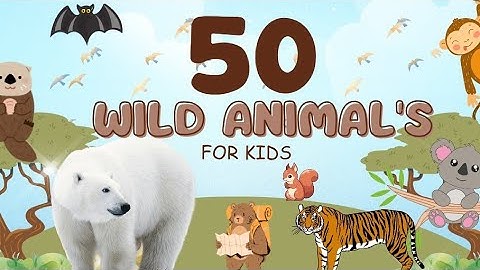  50 Wild Animals Names | Kids Educational Video with Real Animal Clips”