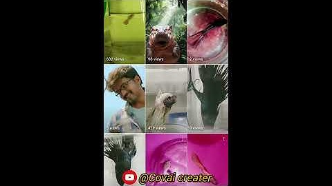 shortv #trendingvideo #short trend #trendingshorts #shortvideo #shorts #trendingvideo