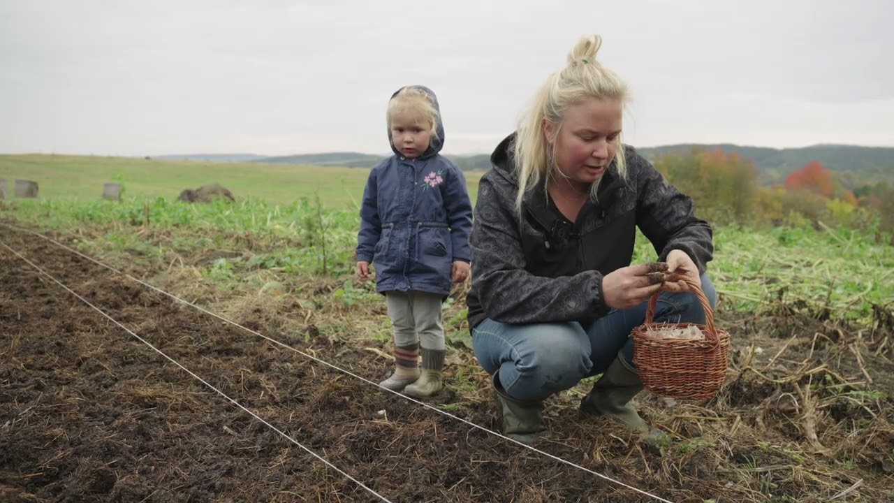 O lidech, kteří naslouchají krajině