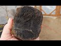 Rockhounding Oregon: Cutting Plume Wood and Rare Petrified Tree Fern Osmundites oregonensis!