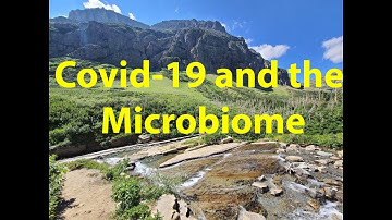 Gut Microbiome and Covid-19