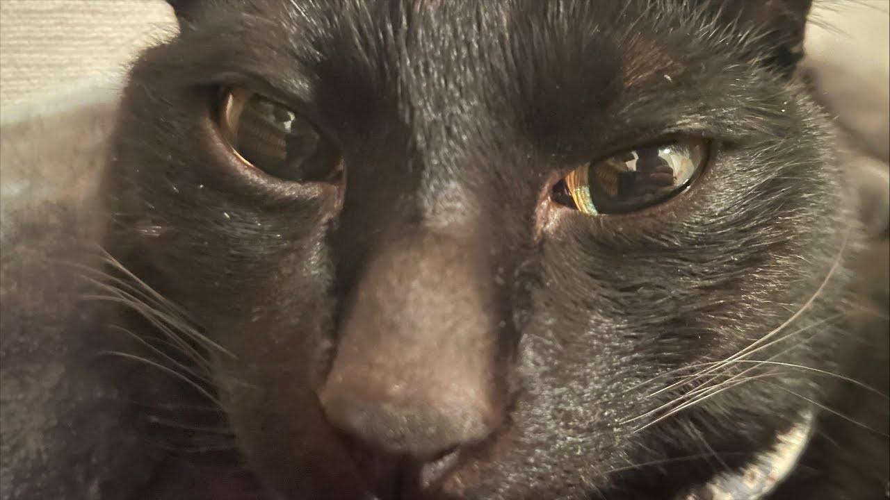 祝日恒例レイドライブ〜ベリュドラ編〜