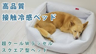 愛犬愛猫用】超クールWラッセルスクエア型ベッド S｜ドックフードの