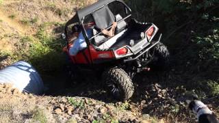 2013 Polaris RZR 800