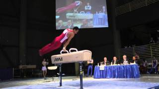 Troy Nitzky - Pommel Horse - 2012 Winter Cup Prelims